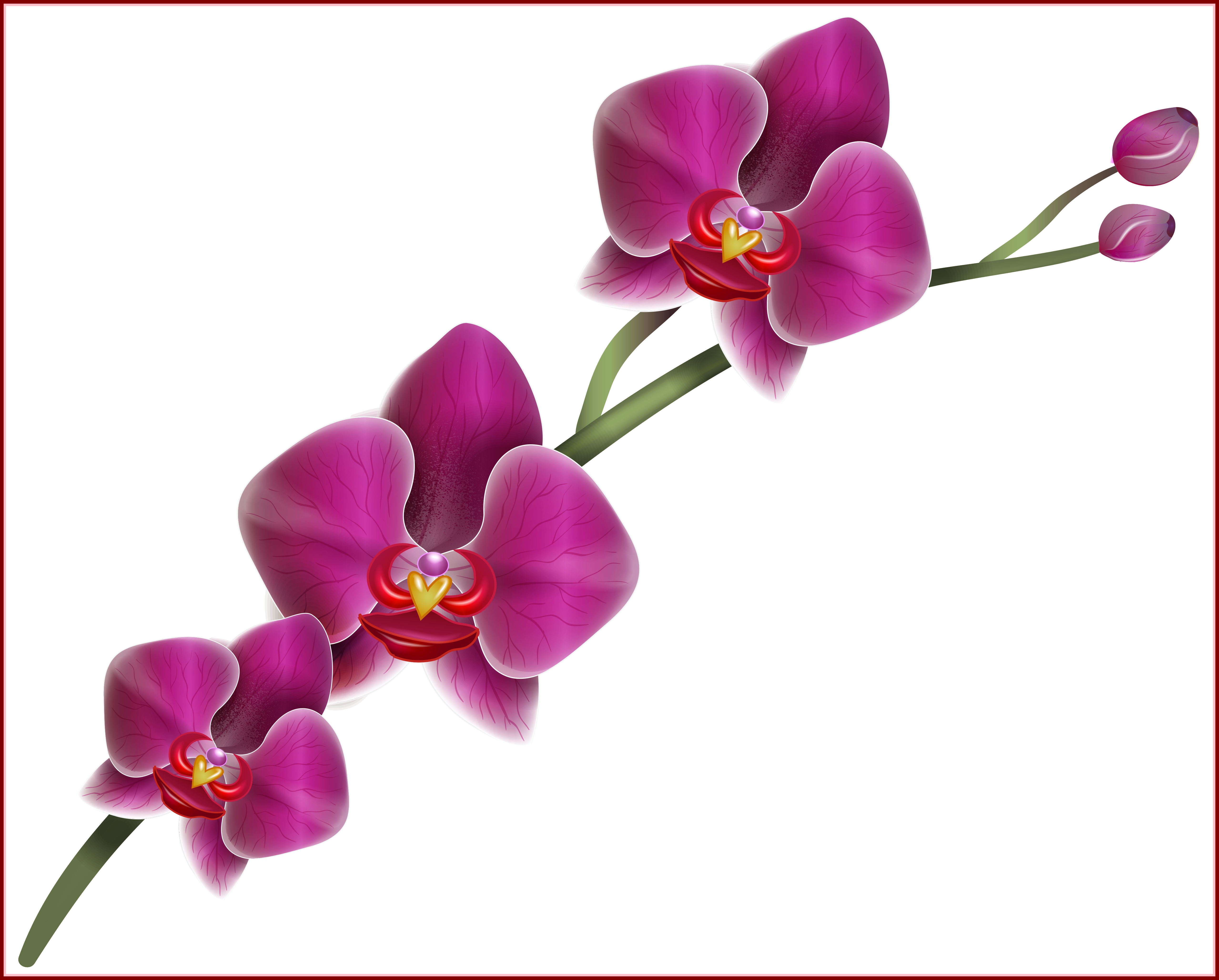 Astonishing Home Clipart Png Fun Gallery Picture U - Astonishing Home Clipart Png Fun Gallery Picture U (5117x4116)