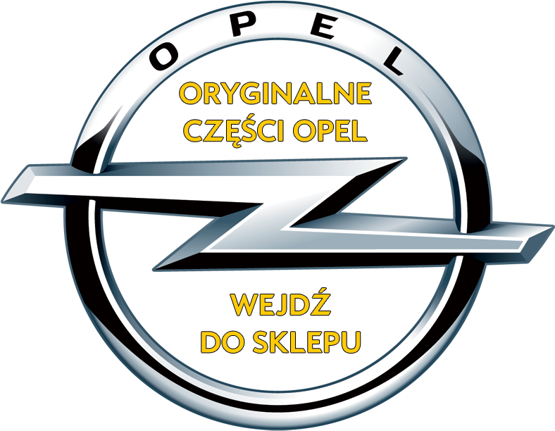 Oryginalne Części Opel Pod Twój Adres W Poznaniu - Opel Logo 2010 (787x627)