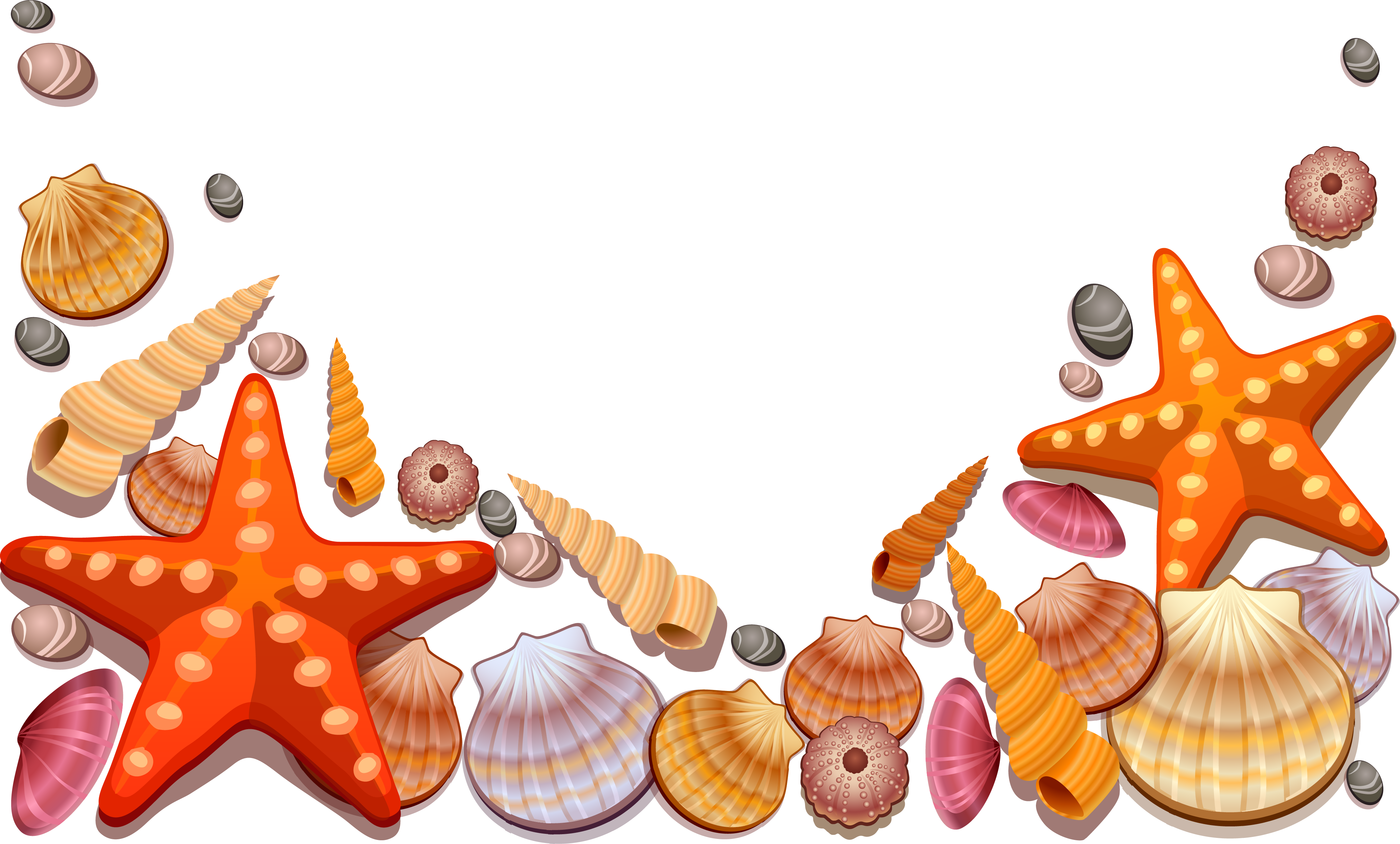 Seashell Clip Art - Sea Shells Shower Curtain (4134x2493)