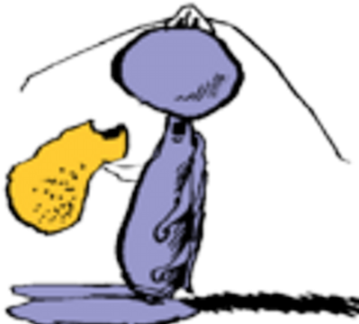 Jordan Friedman - Bloom County (400x400)