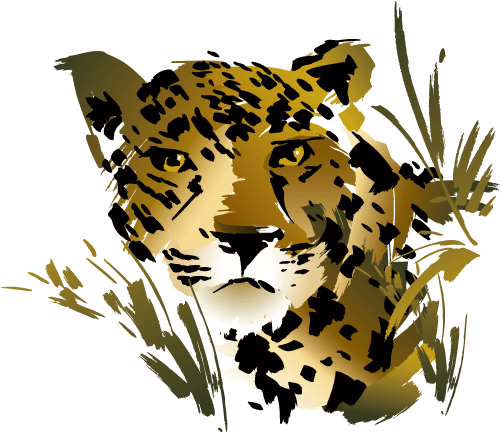 Rainforest Clipart 1 Best Clip Art Blog - Clip Art (500x480)