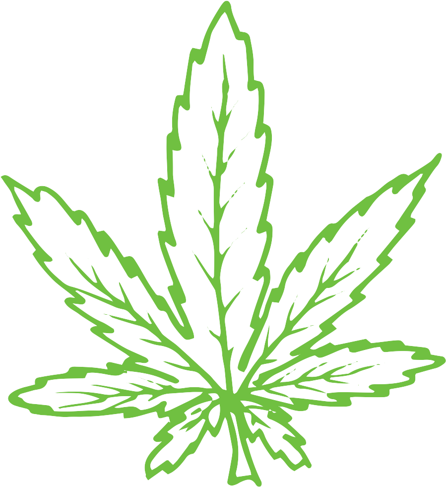 Line Drawing Of A Cannabis Leaf - Illustration (1200x1200)