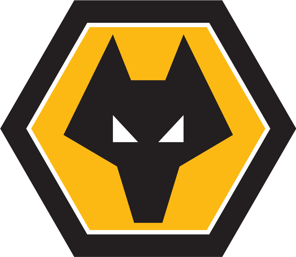 Wolves Fc (1200x1200)