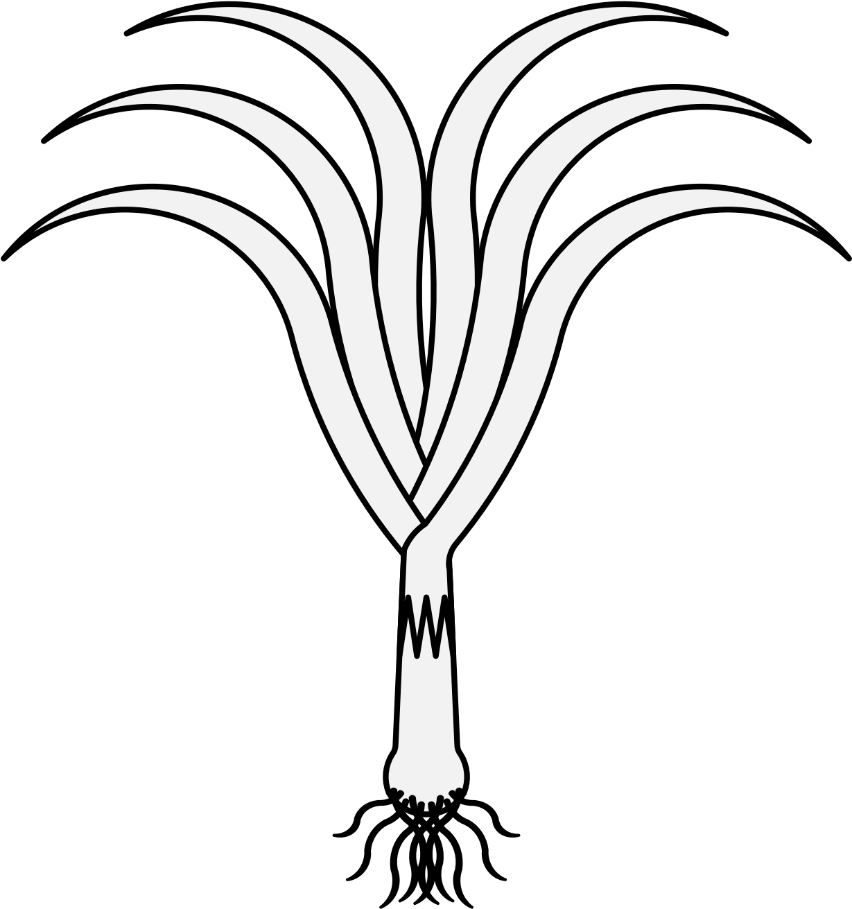 Daffodils Clipart Leek - Illustration (1235x1336)