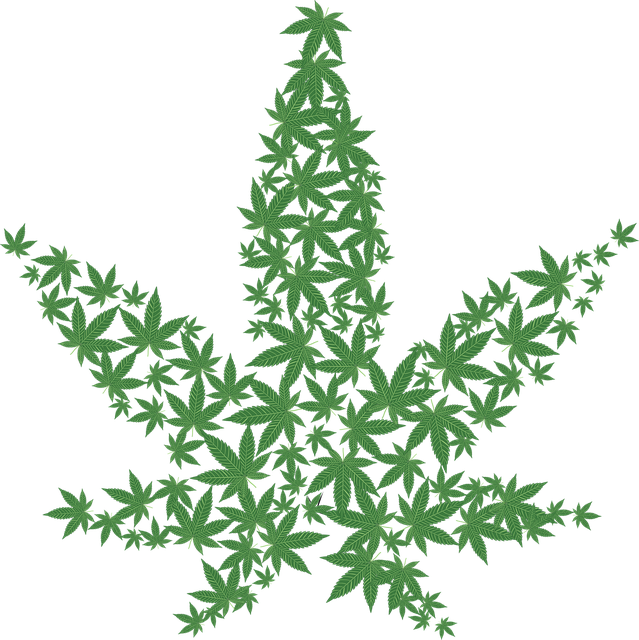 Marijuana Leaf Png Hd (639x640)