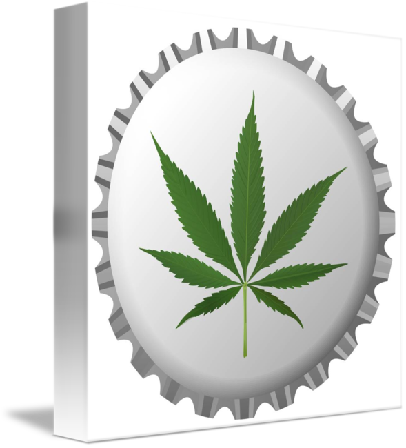 Cannabis Leaf (589x650)