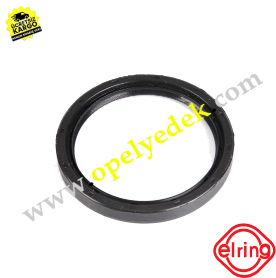 Elring Bolt Kit (600x600)