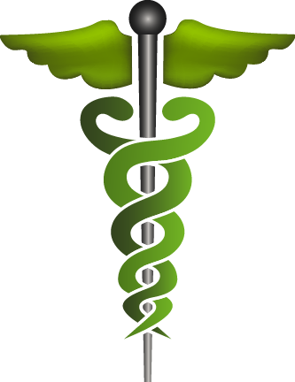 Medical Healthcare Symbol - Medical Symbol (333x432)