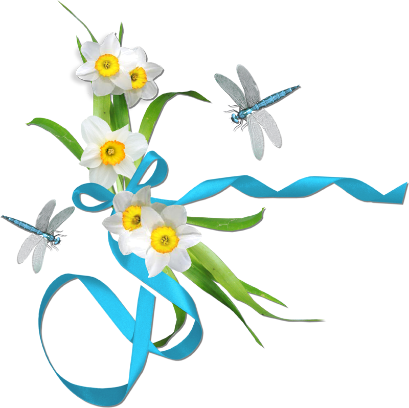 Publicat De Eu Ciresica La - Lily Family (800x798)