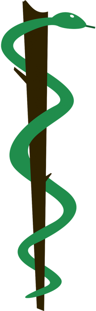 Symbol,free - Desenho Simbolo Da Medicina (500x1000)