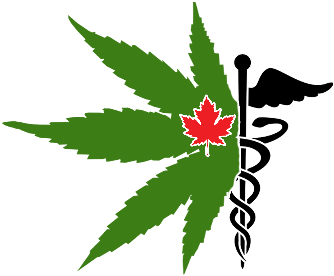 We'll Be Producing The Purest Medical Cannabis On The - Medical Marijuana Logo Png (1920x1080)