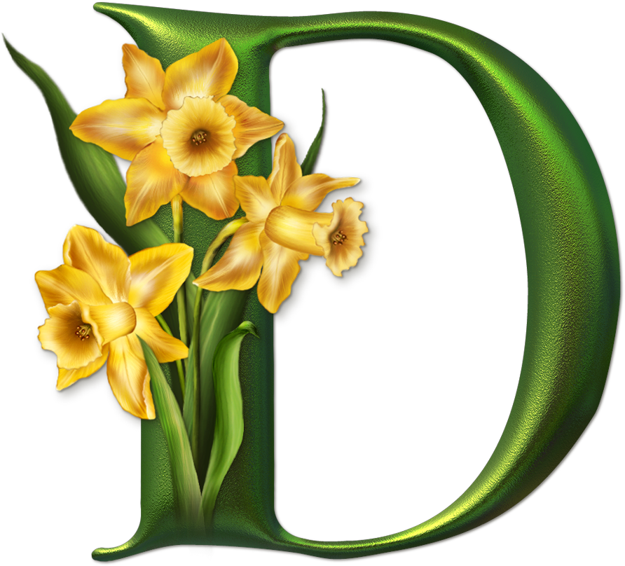 Marcos Gratis Para Fotos, Marcos Gratis, Frame Free, - Daffodils (892x808)