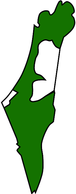 Data And Statistics - Israel And Palestine Outline (320x640)