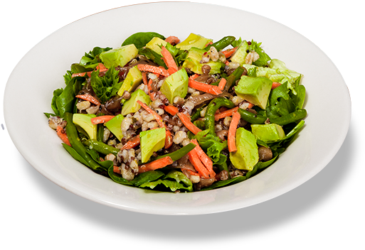 Laughing Planet Cafe - Salad (520x357)