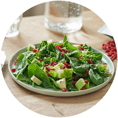 Goji Berry Salad - Goji Bessen Salade (380x380)