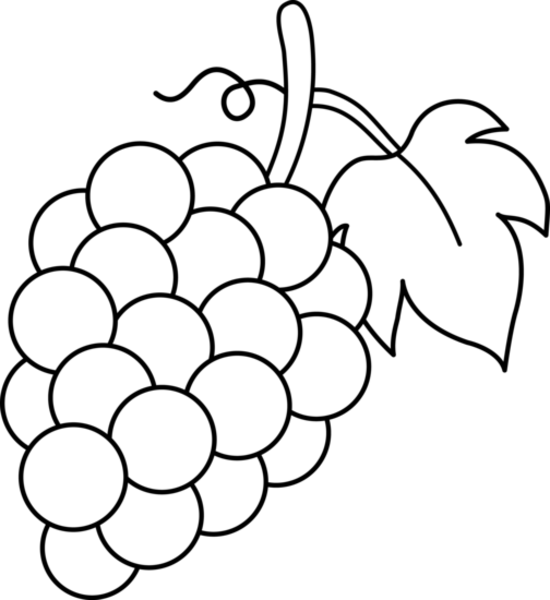 Grapes Clipart Angur - Grapes Black And White (550x600)