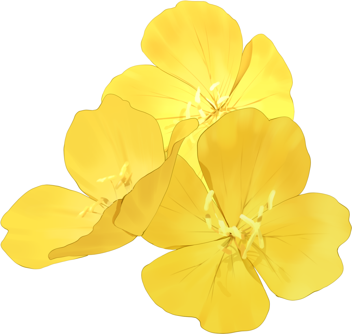 Eschscholzia Californica (1328x1293)