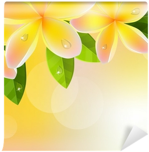 Tropic Orange Background With Frangipani And Green - Frangipani (400x400)