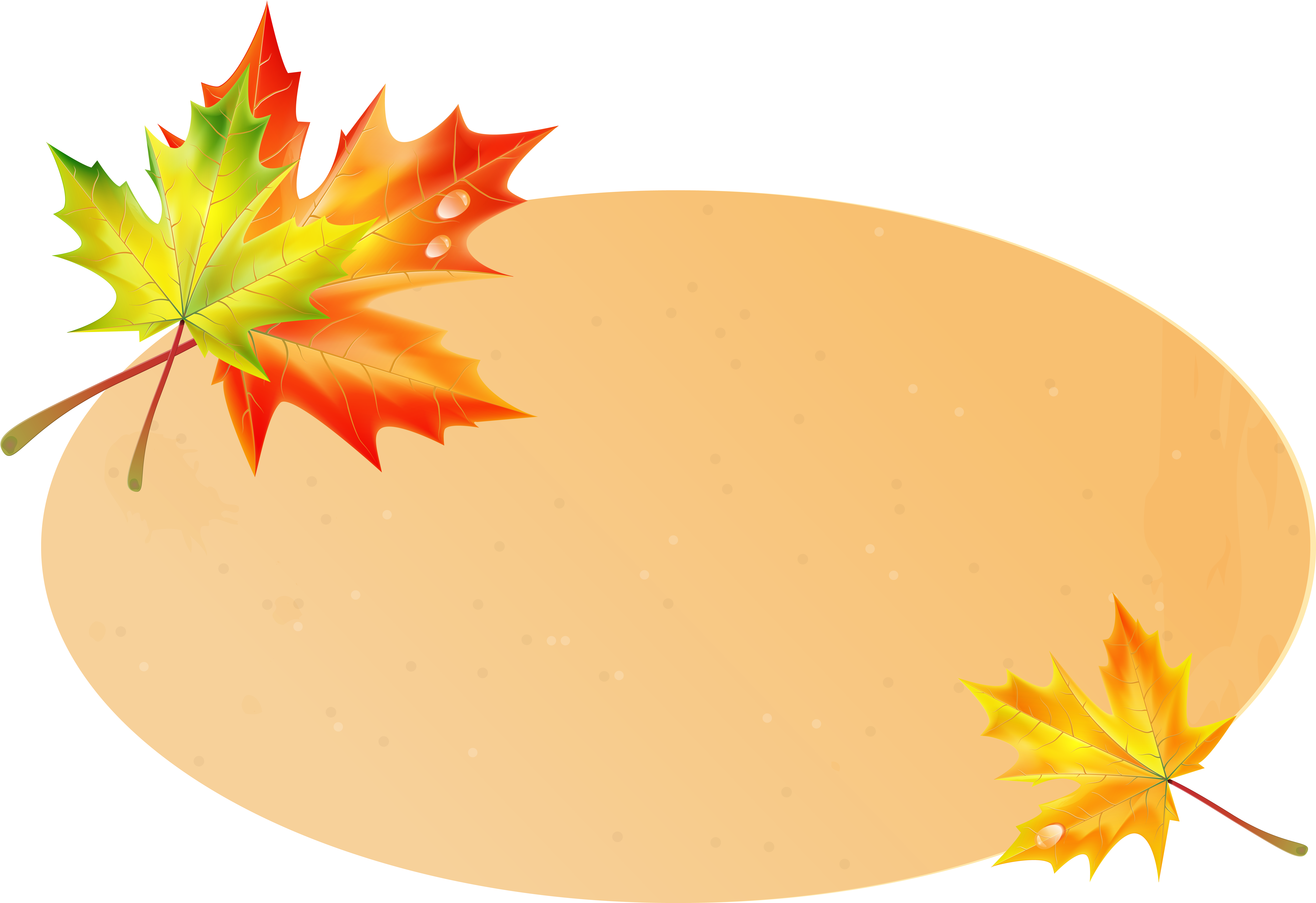 Картинка В Png - Maple Leaf (6996x4770)