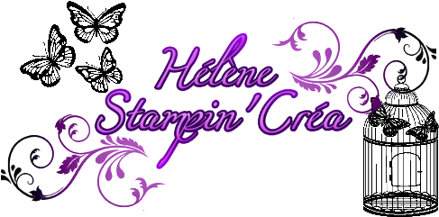 Signature Hélène Stampin'up - Dřevěné Razítko, Velikost D, Ptačí Klec (500x300)