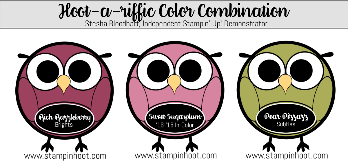 Hoot A Riffic Color Combination Rich Razzleberry, Sweet - Lime (1200x600)