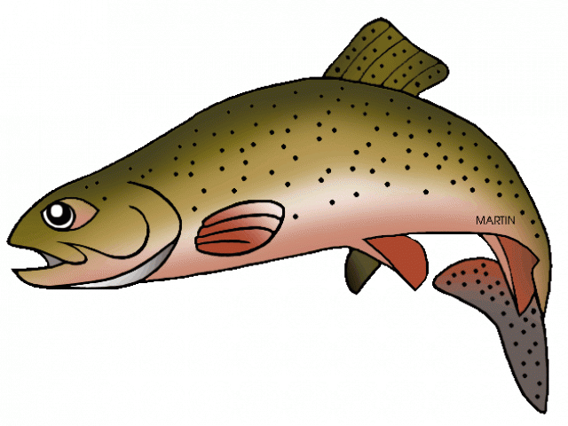 Trout Clipart Cute - Brown Trout (640x480)