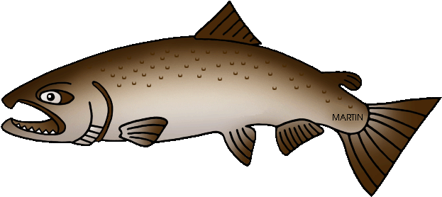 Free Clipart Salmon Jumping Collection - King Salmon Clip Art (648x297)