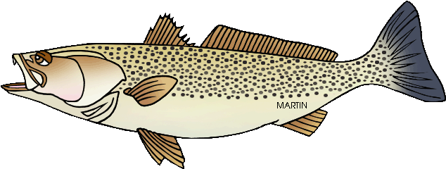 Weakfish - Delaware State Animal Fish (648x249)