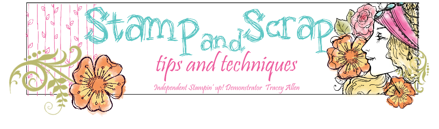 Stamp And Scrap Tips And Techniques - Scrap (900x266)