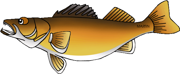 Free Walleye Cliparts, Download Free Clip Art, Free - Walleye Clipart (648x280)