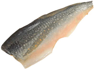Salmón - Legal Bait Fish In Maine (400x400)