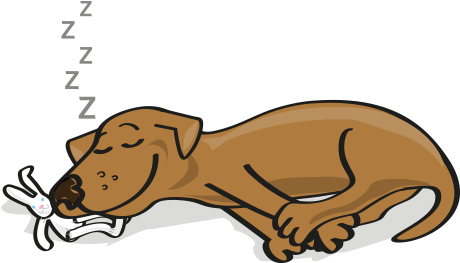 Easy To Give, With Or Without Food - Sleeping Pet Clipart Transparent (555x264)