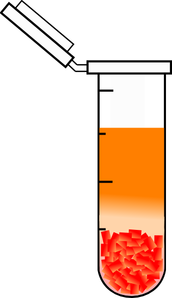 2ml Tube Round Bottom Empty10 Clip Art At Clker - 2ml Tube Round Bottom Empty10 Clip Art At Clker (342x591)