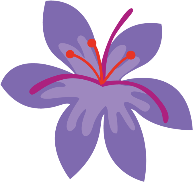 Saffron Masala Cm Vector By Scarlet-spectrum - Saffron Flower Png (894x894)