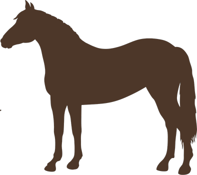 Equine - Mane (394x350)