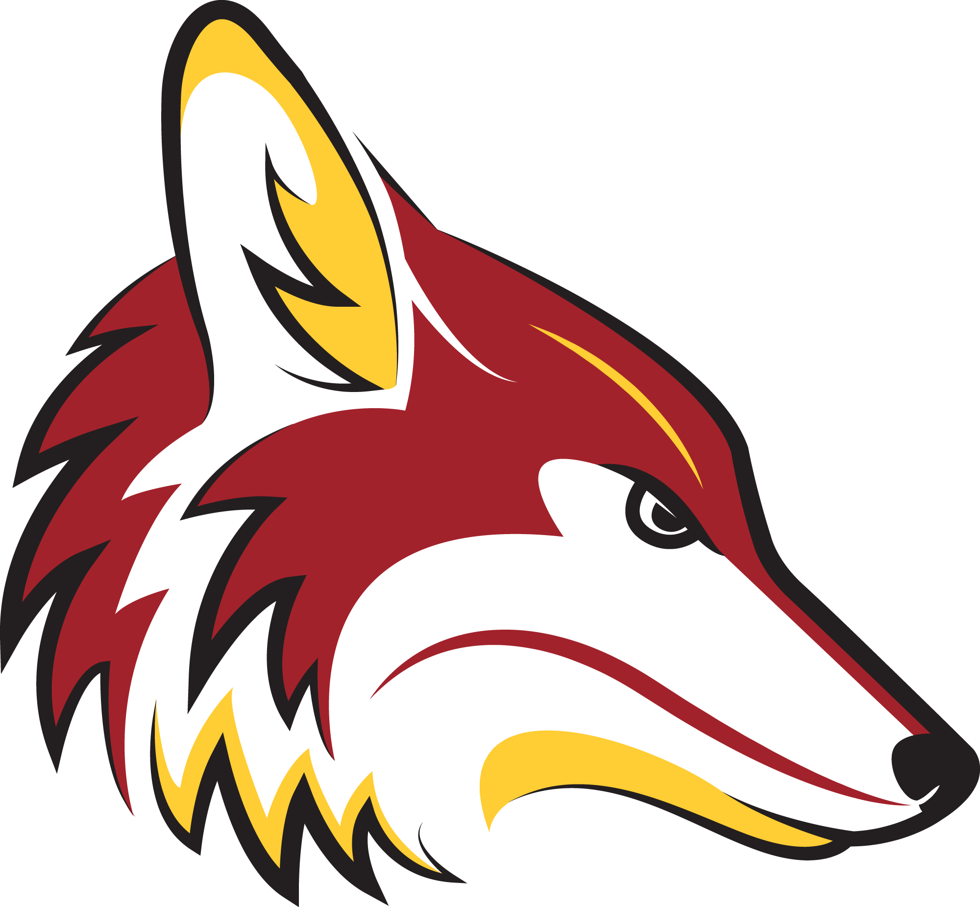 Flag Football - Illustration (2000x1851)