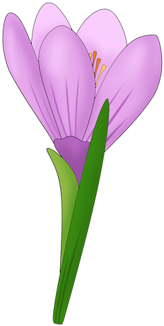 1 - Snowdrop (500x500)