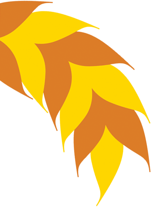 The Country Trust Relies On Generous Donations From - Maize (502x687)