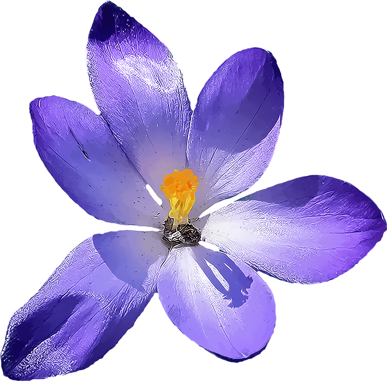 Allpng001 Load20180523 Transparent Png Sticker - Crocus Png (1280x1260)