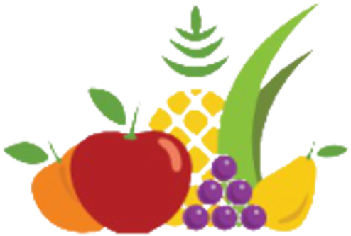 Nutrition Icon Png For Kids - Fruits (512x512)