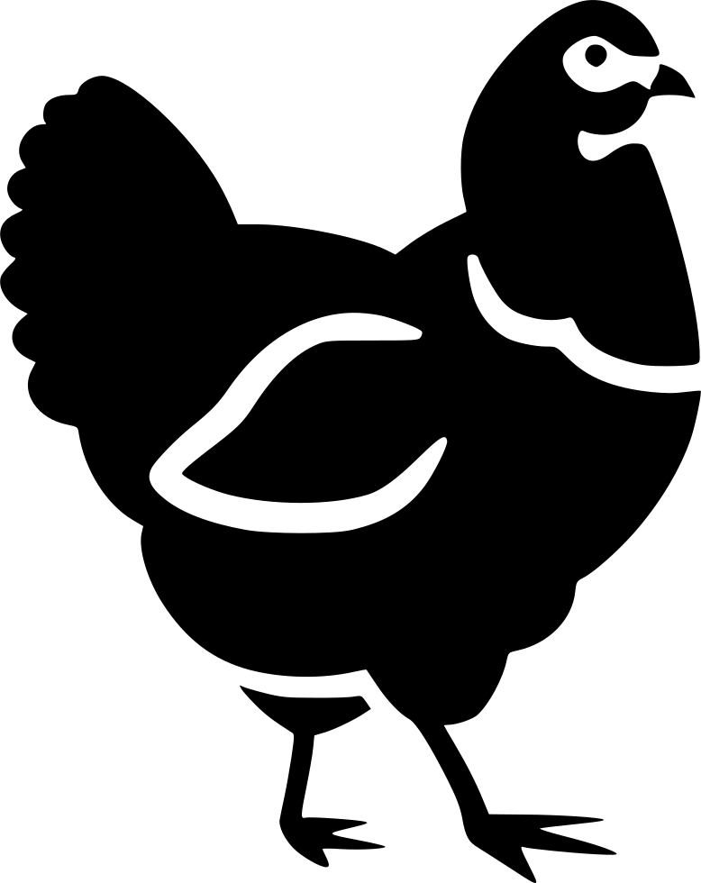 Chicken Hen Animal Comments - Agriculture (778x980)