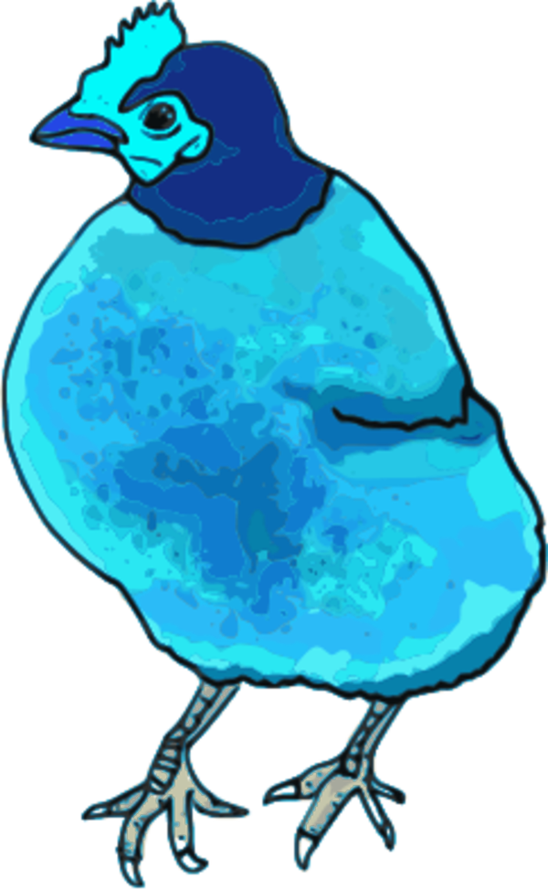 Vector Clip Art - Red Hen Shower Curtain (600x974)