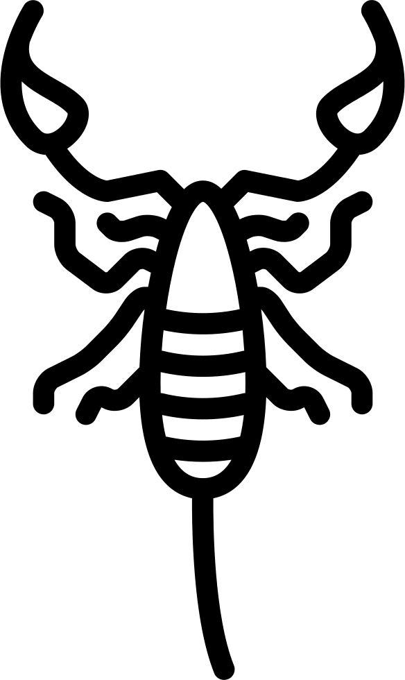 Scorpio Clipart Svg - Scalable Vector Graphics (584x980)