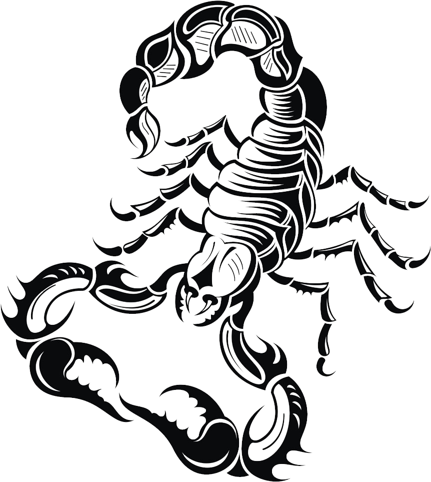 Scorpion Drawing Royalty Free Clip Art - Scorpion Drawing (952x1000)