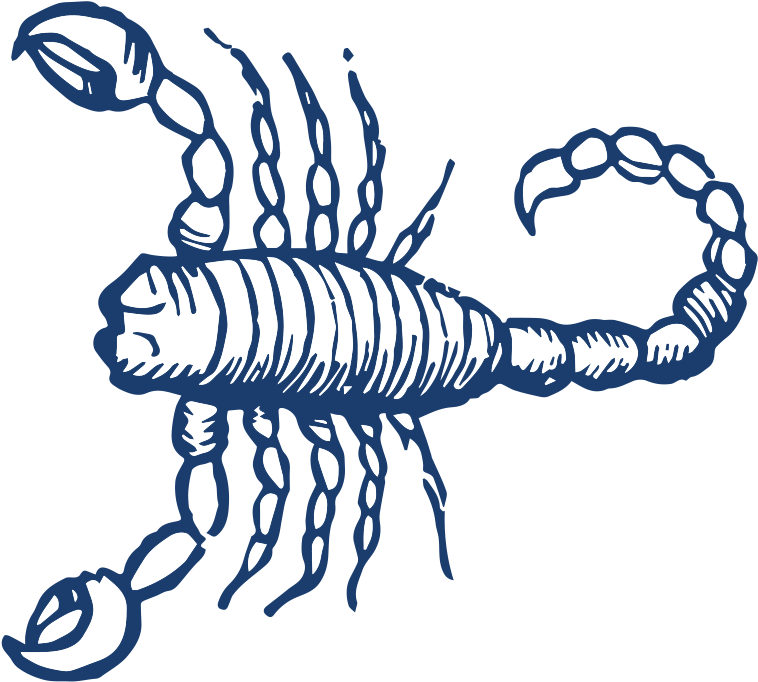 View Larger Image - View Larger Image (800x800)