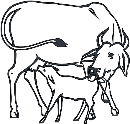 Hand Drawing A Picture Clipart For Kids - Congress Party Symbol Cow And Calf (535x480)