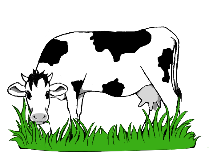 Game Topic Cattle - Cow Eating Grass Clipart Png (764x581)
