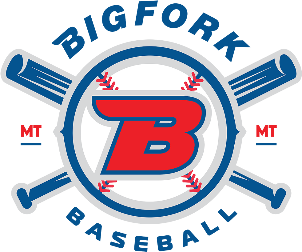 Bigfork Youth Baseball Association Endeavors To Instill - Silicon Valley (1000x882)