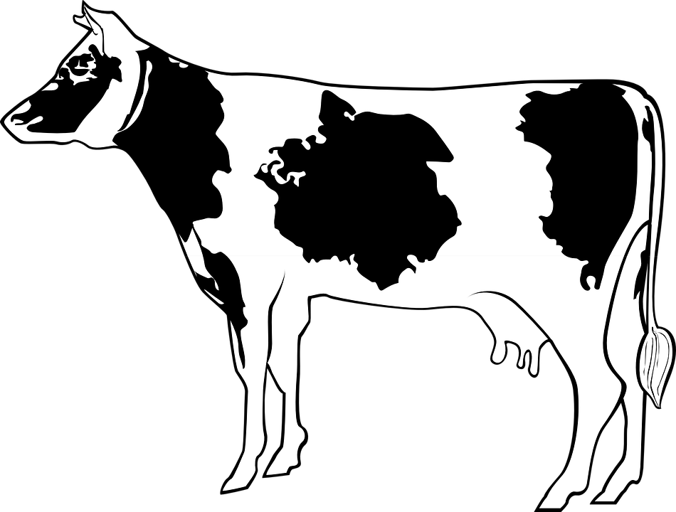 Cartoon Cow Side View (950x720)