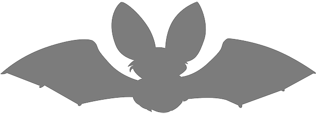 Bats And Sports Bats - Silhouette Animals Bat (640x320)